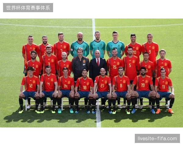 德尚面临中场人员选择难题，法国队能否卫冕取决于年轻球员能否在高压下快速成长